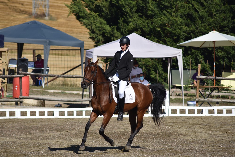 Videos del Campeonato Navarro de Doma Cl&aacute;sica y Adaptada